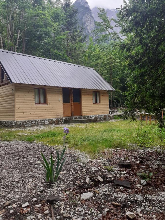 Guesthouse Dioni Вальбоне Екстер'єр фото