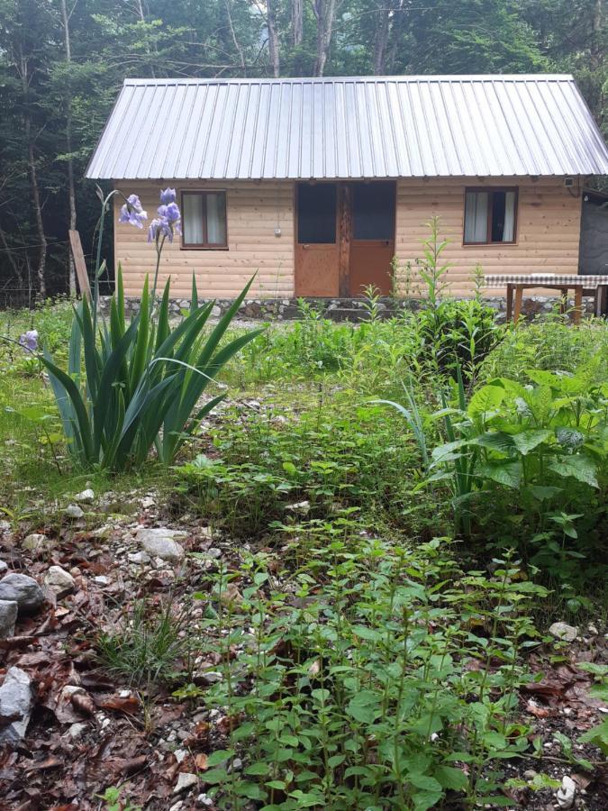 Guesthouse Dioni Вальбоне Екстер'єр фото