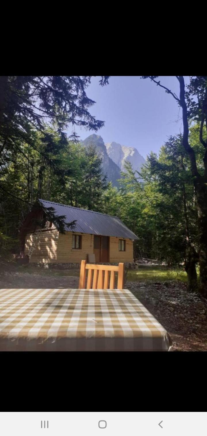 Guesthouse Dioni Вальбоне Екстер'єр фото